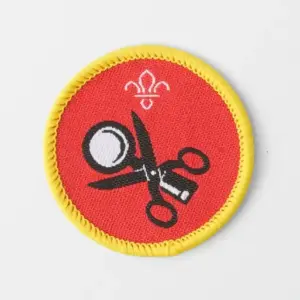 Cub Scout Collector Activity Badge