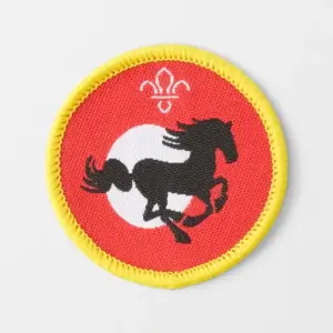 Cub Scout Equestrian Activity Badge