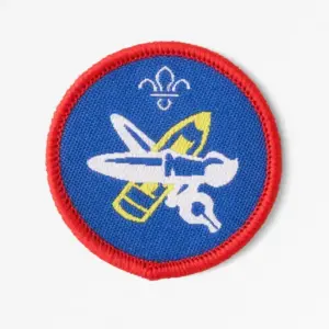 Scout Artist Activity Badge