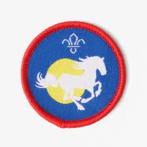 Scout Equestrian Activity Badge