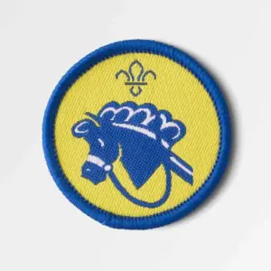 Beaver Scout Hobbies Activity Badge