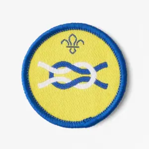 Beaver Scout Camp Craft Activity Badge