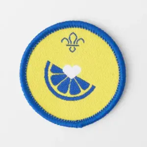 Beaver Scout Health & Fitness Activity Badge