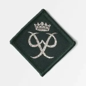 DofE Award Silver Badge