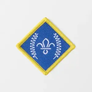 Chief Scouts Platinum Award Badge