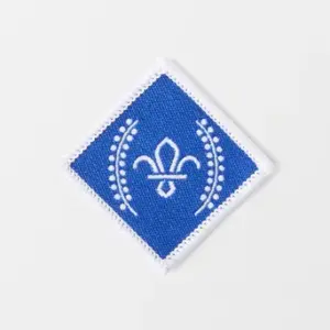 Chief Scouts Diamond Award Badge