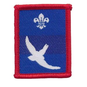 Patrol Badge Swift