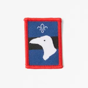 Patrol Badge Raven