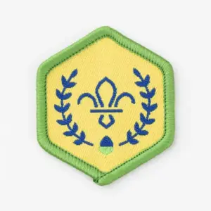 Squirrels Chief Scout Acorn Award Badge