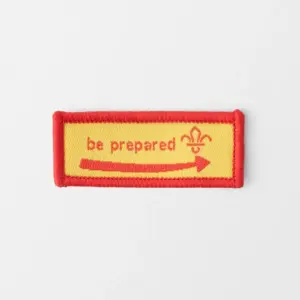 Beaver Scout Moving On Award