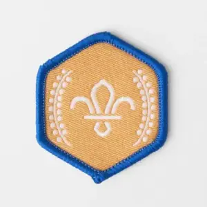 Chief Scout's Bronze Award Badge