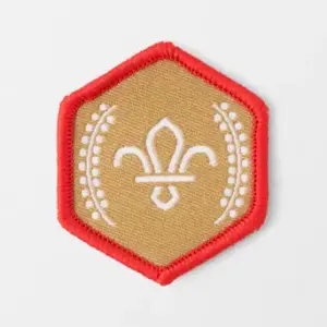Chief Scout's Gold Award Badge