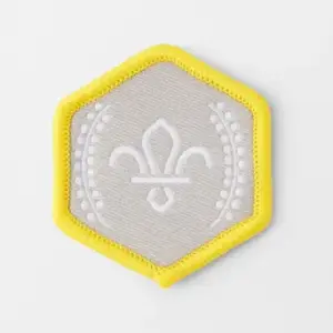 Chief Scout's Silver Award Badge