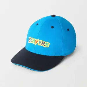 Beaver Scouts Embroidered Youth Baseball Cap