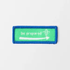 Scout Moving On Award Badge