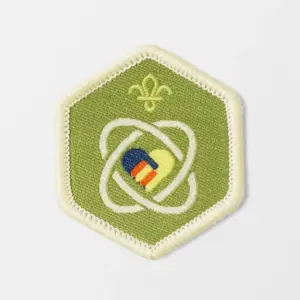 Explorers Values Challenge Award