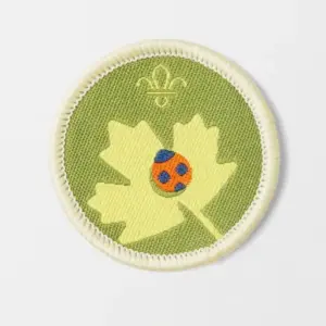 Explorers Nature Activity Badge